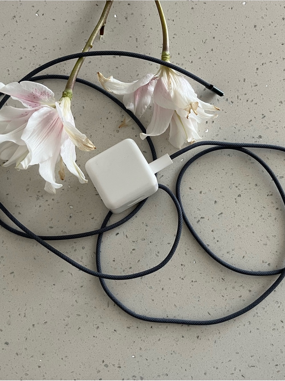 Apple White Charging Adapter with Black Braided Cable